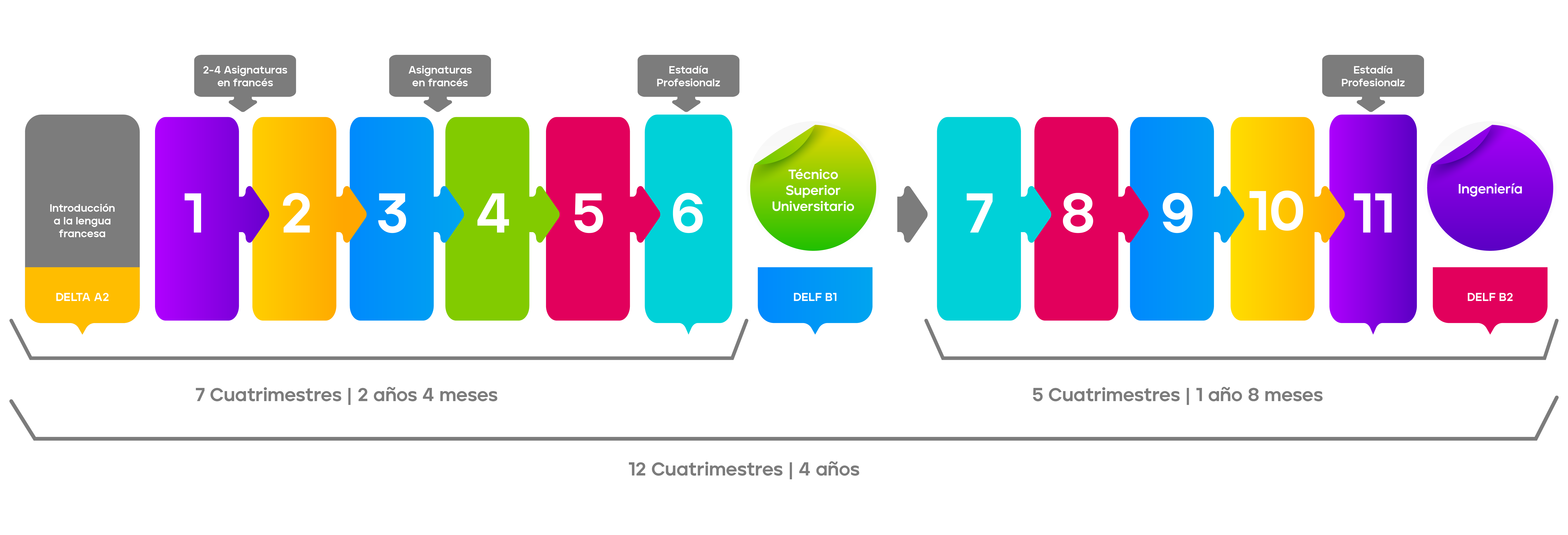 Infographic_Artboard 1